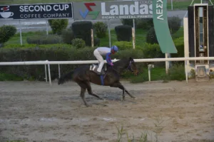 ΙΠΠΟΔΡΟΜΟΣ ΚΥΠΡΟΣ / IPPODROMOS KYPROS ΑΜΑΡΤΙΑ - 18.01.2026