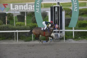 ΙΠΠΟΔΡΟΜΟΣ ΚΥΠΡΟΣ / IPPODROMOS KYPROS ΔΙΕΥΘΥΝΤΗΣ - 25/01/2026