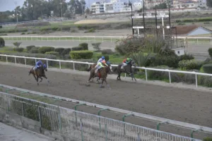 ΙΠΠΟΔΡΟΜΟΣ ΚΥΠΡΟΣ / IPPODROMOS KYPROS ΠΙΛΙΠΙΝΤΗΣ - 4/1/2026