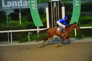 ΙΠΠΟΔΡΟΜΟΣ ΚΥΠΡΟΣ / IPPODROMOS KYPROS ΑΝΖ ΝΤ ΑΜΟΥΡ - 21/01/2026