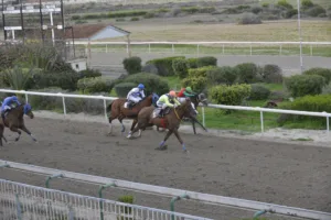 ΙΠΠΟΔΡΟΜΟΣ ΚΥΠΡΟΣ / IPPODROMOS KYPROS ΙΠΠΟΔΡΟΜΟΣ ΚΥΠΡΟΣ / IPPODROMOS KYPROS ΠΙΛΙΠΙΝΤΗΣ - 4/1/2026