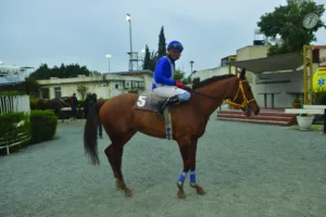 ΙΠΠΟΔΡΟΜΟΣ ΚΥΠΡΟΣ / IPPODROMOS KYPROS ΑΝΖ ΝΤ ΑΜΟΥΡ - 21/01/2026