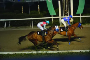 ΙΠΠΟΔΡΟΜΟΣ ΚΥΠΡΟΣ / IPPODROMOS KYPROS ΕΚΑΒΗ - 21/01/2026