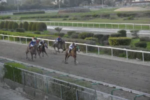 ΙΠΠΟΔΡΟΜΟΣ ΚΥΠΡΟΣ / IPPODROMOS KYPROS ΚΥΠΕΛΛΟ ΑΝΤΩΝΗ ΠΕΤΡΗ - ΕΛΙΚΩΝΑΣ - 25/01/2026