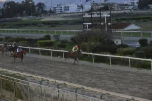 ΙΠΠΟΔΡΟΜΟΣ ΚΥΠΡΟΣ / IPPODROMOS KYPROS ΕΠΑΘΛΟ ΓΕΩΡΓΙΟΥ ΒΑΣΙΛΕΙΑΔΗ - ΠΙΛΙΠΙΝΤΗΣ - 18.01.2026