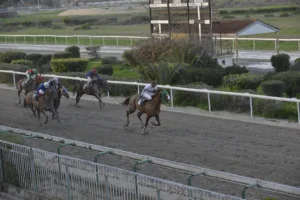 ΙΠΠΟΔΡΟΜΟΣ ΚΥΠΡΟΣ / IPPODROMOS KYPROS ΚΥΠΕΛΛΟ ΑΝΤΩΝΗ ΠΕΤΡΗ - ΕΛΙΚΩΝΑΣ - 25/01/2026