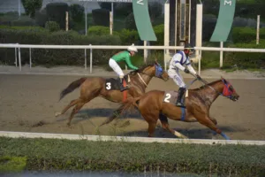 ΙΠΠΟΔΡΟΜΟΣ ΚΥΠΡΟΣ / IPPODROMOS KYPROS ΣΕΡ ΒΡΑΚΑΣ ΚΥΠΕΛΛΟ ΧΕΙΜΩΝΟΣ (Listed) - 06/01/2026