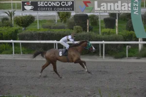 ΙΠΠΟΔΡΟΜΟΣ ΚΥΠΡΟΣ / IPPODROMOS KYPROS