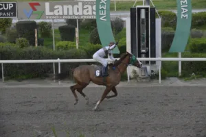 ΙΠΠΟΔΡΟΜΟΣ ΚΥΠΡΟΣ / IPPODROMOS KYPROS ΚΥΠΕΛΛΟ ΑΝΤΩΝΗ ΠΕΤΡΗ - ΕΛΙΚΩΝΑΣ - 25/01/2026