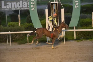 ΙΠΠΟΔΡΟΜΟΣ ΚΥΠΡΟΣ / IPPODROMOS KYPROS ΕΠΑΘΛΟ ΓΕΩΡΓΙΟΥ ΒΑΣΙΛΕΙΑΔΗ - ΠΙΛΙΠΙΝΤΗΣ - 18.01.2026