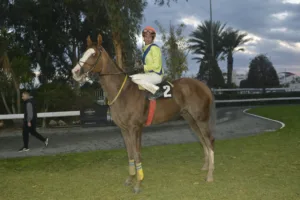 ΙΠΠΟΔΡΟΜΟΣ ΚΥΠΡΟΣ / IPPODROMOS KYPROS ΕΠΑΘΛΟ ΓΕΩΡΓΙΟΥ ΒΑΣΙΛΕΙΑΔΗ - ΠΙΛΙΠΙΝΤΗΣ - 18.01.2026