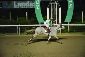 ΙΠΠΟΔΡΟΜΟΣ ΚΥΠΡΟΣ / IPPODROMOS KYPROS ΓΡΚΕΥ ΚΙΝΓΚ - 21/01/2026