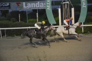 ΙΠΠΟΔΡΟΜΟΣ ΚΥΠΡΟΣ / IPPODROMOS KYPROS - ΒΕΝΤΟ ΣΙΑΚΙΡΑ - 25/01/2026