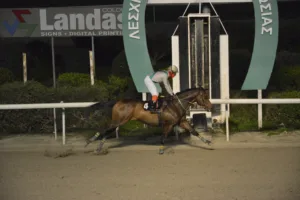 ΙΠΠΟΔΡΟΜΟΣ ΚΥΠΡΟΣ / IPPODROMOS KYPROS ΒΙΤΤΗΣ ΚΑΣΤΡΟΣ - 1/1/2026