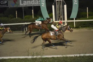 ΙΠΠΟΔΡΟΜΟΣ ΚΥΠΡΟΣ / IPPODROMOS KYPROS ΞΕΝΑΓΟΡΑΣ - 16.01.2026