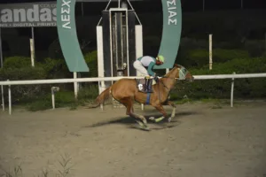 ΙΠΠΟΔΡΟΜΟΣ ΚΥΠΡΟΣ / IPPODROMOS KYPROS ΠΡΙΝΣΕΣ ΔΕΣΠΟΙΝΑ - 28/01/2026