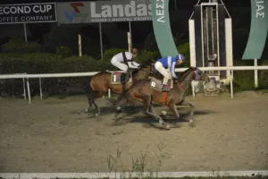 ΙΠΠΟΔΡΟΜΟΣ ΚΥΠΡΟΣ / IPPODROMOS KYPROS ΣΑΝ ΑΝΤΩΝΙΟ - 28/01/2026