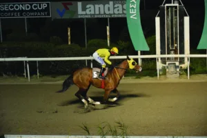 ΙΠΠΟΔΡΟΜΟΣ ΚΥΠΡΟΣ / IPPODROMOS KYPROS ΑΧΕΡΩΝ - 21/01/2026