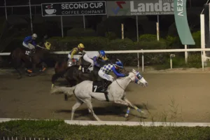 ΙΠΠΟΔΡΟΜΟΣ ΚΥΠΡΟΣ / IPPODROMOS KYPROS ΙΠΠΟΔΡΟΜΟΣ ΚΥΠΡΟΣ / IPPODROMOS KYPROS ΜΑΙ ΓΚΕΡΛΦΡΕΝΤ - 4/1/2026