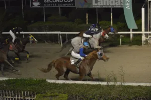 ΙΠΠΟΔΡΟΜΟΣ ΚΥΠΡΟΣ / IPPODROMOS KYPROS - ΣΑΒΑΝ ΧΕΡΚΟΥΛΗΣ - 26/01/2026