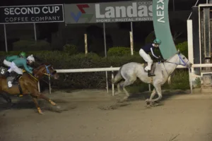 ΙΠΠΟΔΡΟΜΟΣ ΚΥΠΡΟΣ / IPPODROMOS KYPROS ΒΕΝΤΟ ΑΦΡΙΚΑΜΑΧΟΣ - 1/1/2026