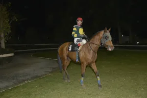 ΙΠΠΟΔΡΟΜΟΣ ΚΥΠΡΟΣ / IPPODROMOS KYPROS ΠΑΝΤΕΛΗΣ ΤΣΙΗΦ - 06/01/2026