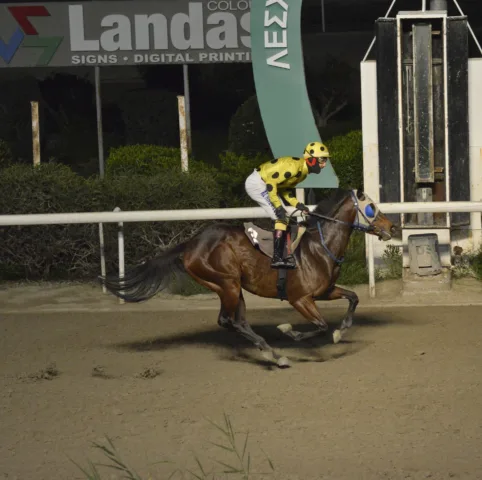 ΙΠΠΟΔΡΟΜΟΣ ΚΥΠΡΟΣ / IPPODROMOS KYPROS ΜΠΕΙΜΠΙ ΜΠΛΟΥ - 06/01/2026