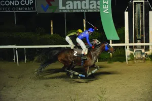 ΙΠΠΟΔΡΟΜΟΣ ΚΥΠΡΟΣ / IPPODROMOS KYPROS ΣΠΑΡΤΗ - 11.01.2026