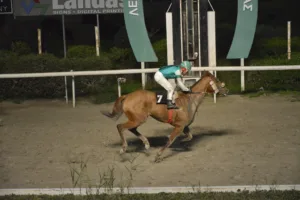 ΙΠΠΟΔΡΟΜΟΣ ΚΥΠΡΟΣ / IPPODROMOS KYPROS ΧΕΛΙ - 28/01/2026