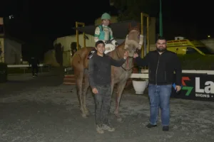 ΙΠΠΟΔΡΟΜΟΣ ΚΥΠΡΟΣ / IPPODROMOS KYPROS ΧΕΛΙ - 28/01/2026