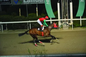 ΙΠΠΟΔΡΟΜΟΣ ΚΥΠΡΟΣ / IPPODROMOS KYPROS ΜΑΡΙΑΜ - 21/01/2026