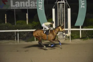 ΙΠΠΟΔΡΟΜΟΣ ΚΥΠΡΟΣ / IPPODROMOS KYPROS ΜΑΡΜΑΡΑΣ - 06/01/2026