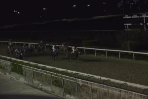 ΙΠΠΟΔΡΟΜΟΣ ΚΥΠΡΟΣ / IPPODROMOS KYPROS ΜΙΡΑΖ - 18.01.2026