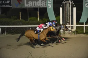 ΙΠΠΟΔΡΟΜΟΣ ΚΥΠΡΟΣ / IPPODROMOS KYPROS ΙΠΠΟΔΡΟΜΟΣ ΚΥΠΡΟΣ / IPPODROMOS KYPROS ΟΥΓΓΡΟΣ - 4/1/2026