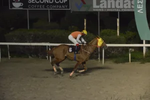 ΙΠΠΟΔΡΟΜΟΣ ΚΥΠΡΟΣ / IPPODROMOS KYPROS ΣΕΡ ΠΕΠΕ - 28/01/2026