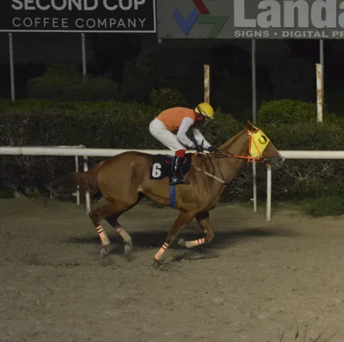 ΙΠΠΟΔΡΟΜΟΣ ΚΥΠΡΟΣ / IPPODROMOS KYPROS ΣΕΡ ΠΕΠΕ - 28/01/2026