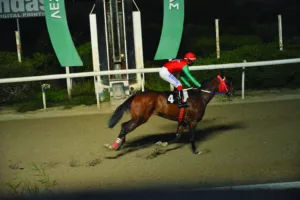 ΙΠΠΟΔΡΟΜΟΣ ΚΥΠΡΟΣ / IPPODROMOS KYPROS ΜΑΡΙΑΜ - 21/01/2026