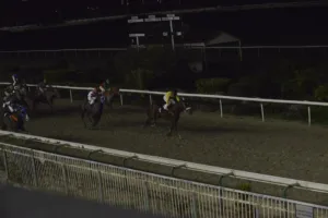 ΙΠΠΟΔΡΟΜΟΣ ΚΥΠΡΟΣ / IPPODROMOS KYPROS ΜΙΡΑΖ - 18.01.2026