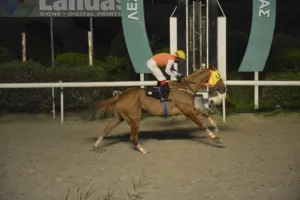 ΙΠΠΟΔΡΟΜΟΣ ΚΥΠΡΟΣ / IPPODROMOS KYPROS ΣΕΡ ΠΕΠΕ - 28/01/2026