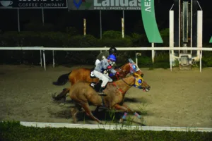 ΙΠΠΟΔΡΟΜΟΣ ΚΥΠΡΟΣ / IPPODROMOS KYPROS ΕΣΘΗΡ - 11.01.2026