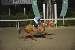 ΙΠΠΟΔΡΟΜΟΣ ΚΥΠΡΟΣ / IPPODROMOS KYPROS ΦΑΙΔΡΑ - 06/01/2026