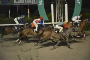 ΙΠΠΟΔΡΟΜΟΣ ΚΥΠΡΟΣ / IPPODROMOS KYPROS ΕΜΜΟΝΗ - 25/01/2026