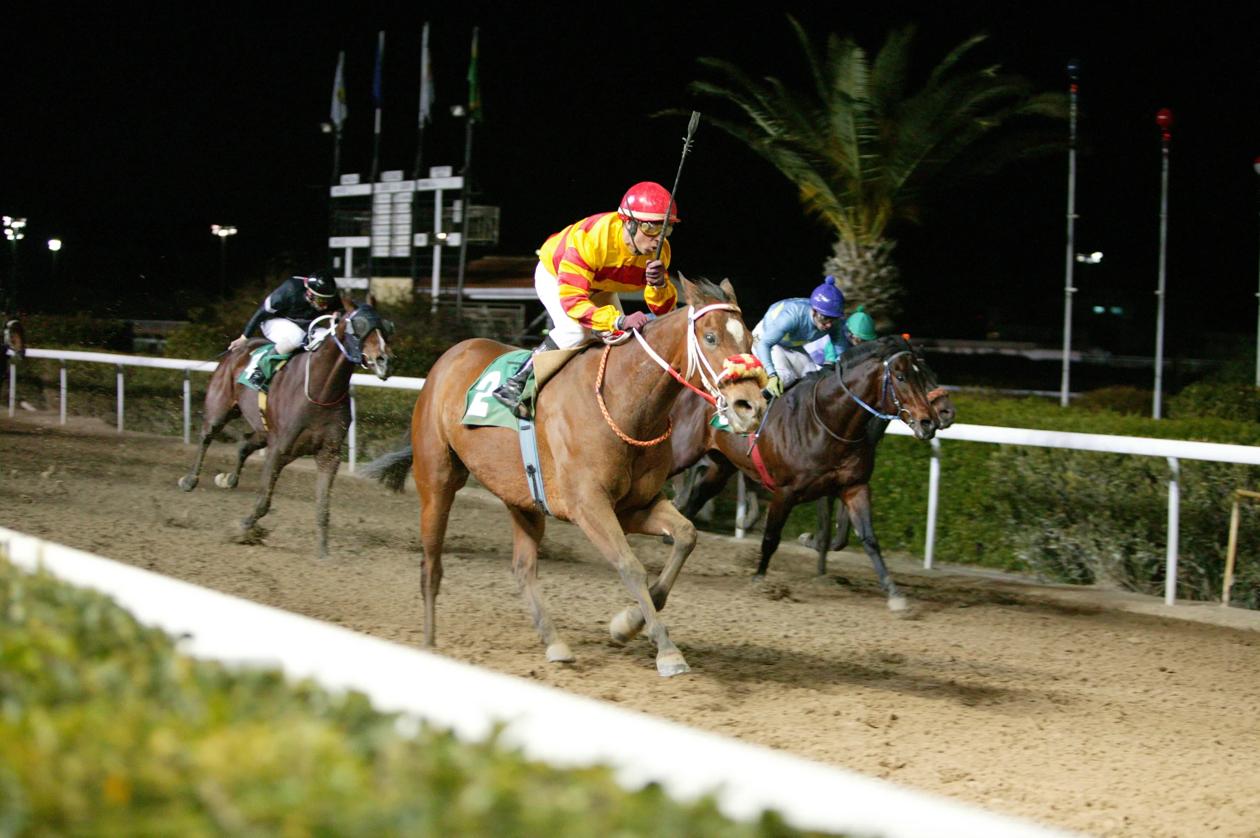 Έτοιμος να επανέλθει o Νετζιάτι Γκιουνέϋ 1 ΙΠΠΟΔΡΟΜΟΣ ΚΥΠΡΟΣ / IPPODROMOS KYPROS