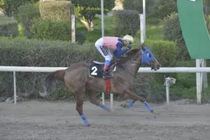 ΙΠΠΟΔΡΟΜΟΣ ΚΥΠΡΟΣ / IPPODROMOS KYPROS