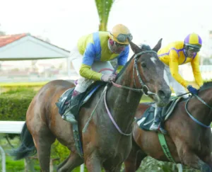 ΙΠΠΟΔΡΟΜΟΣ ΚΥΠΡΟΣ / IPPODROMOS KYPROS