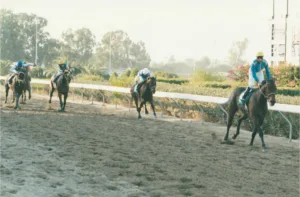 ΙΠΠΟΔΡΟΜΟΣ ΚΥΠΡΟΣ / IPPODROMOS KYPROS