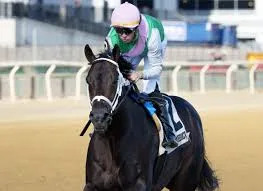 ΙΠΠΟΔΡΟΜΟΣ ΚΥΠΡΟΣ / IPPODROMOS KYPROS