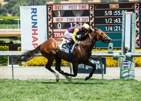 ΙΠΠΟΔΡΟΜΟΣ ΚΥΠΡΟΣ / IPPODROMOS KYPROS O Big Runneur.