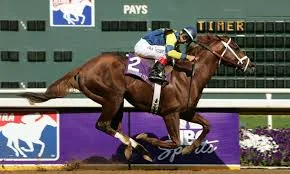 Momos (USA): Τα πρώτα πουλάρια εντυπωσιάζουν 6 ΙΠΠΟΔΡΟΜΟΣ ΚΥΠΡΟΣ / IPPODROMOS KYPROS