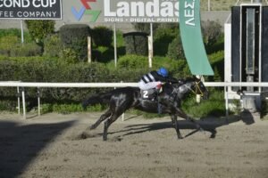 ΙΠΠΟΔΡΟΜΟΣ ΚΥΠΡΟΣ / IPPODROMOS KYPROS ΓΚΙΜΛΙ - 15/02/2026